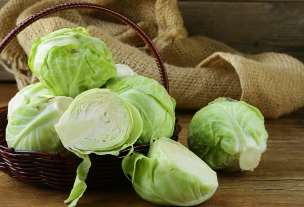 Cabbage