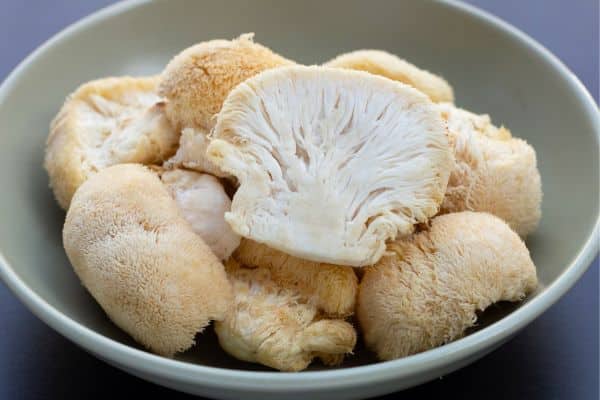 Lion's Mane Mushrooms