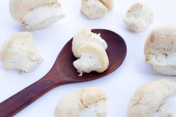 Lion's Mane Mushrooms
