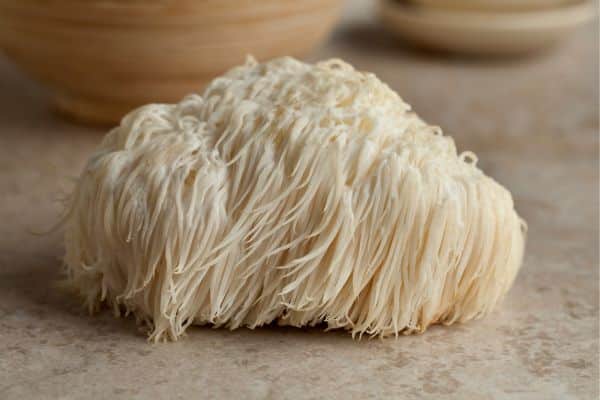 Lion's Mane Mushrooms