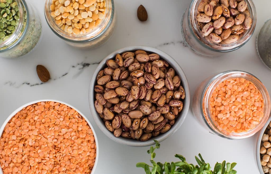 Alternating Sources Of Protein