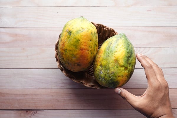 papaya