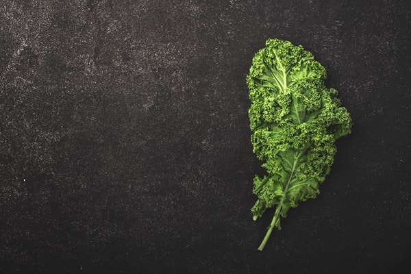 Never Put In The Microwave