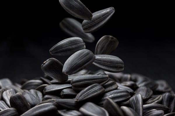 Sunflower Seeds