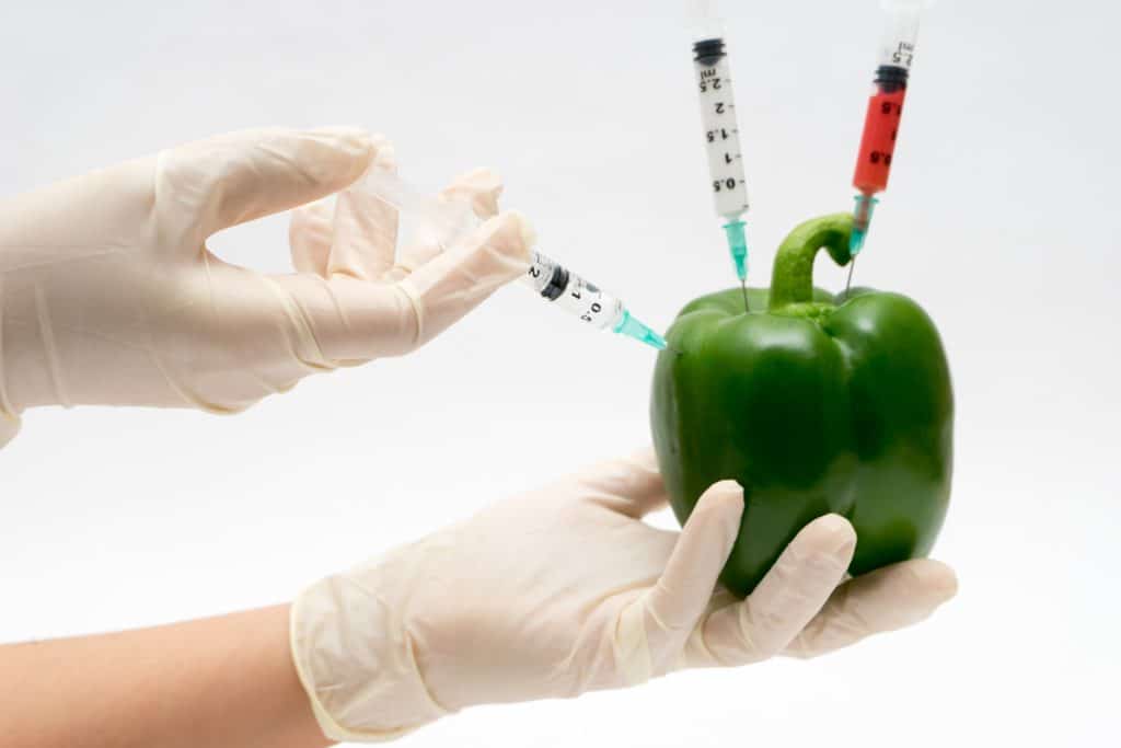 GMOs