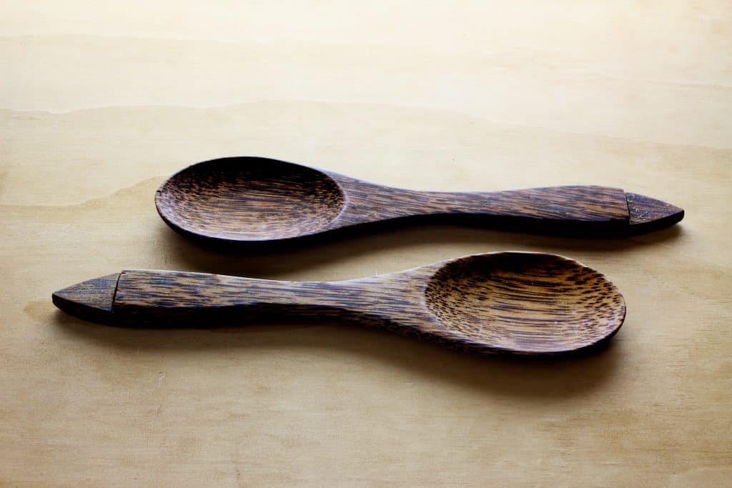 Spoon Theory