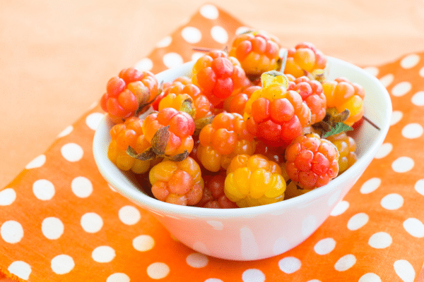 Wild Berries You Can Eat