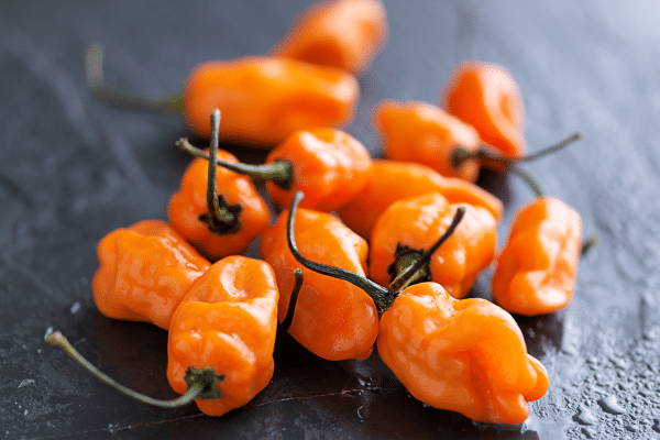 Is Spicy Food Good For You?