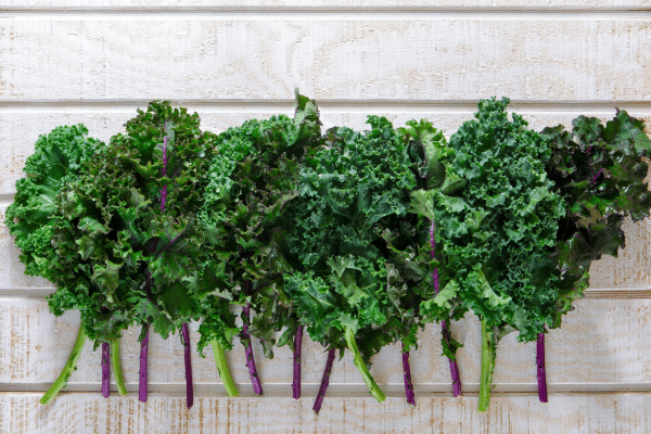 Best Foods To Suppress Your Appetite