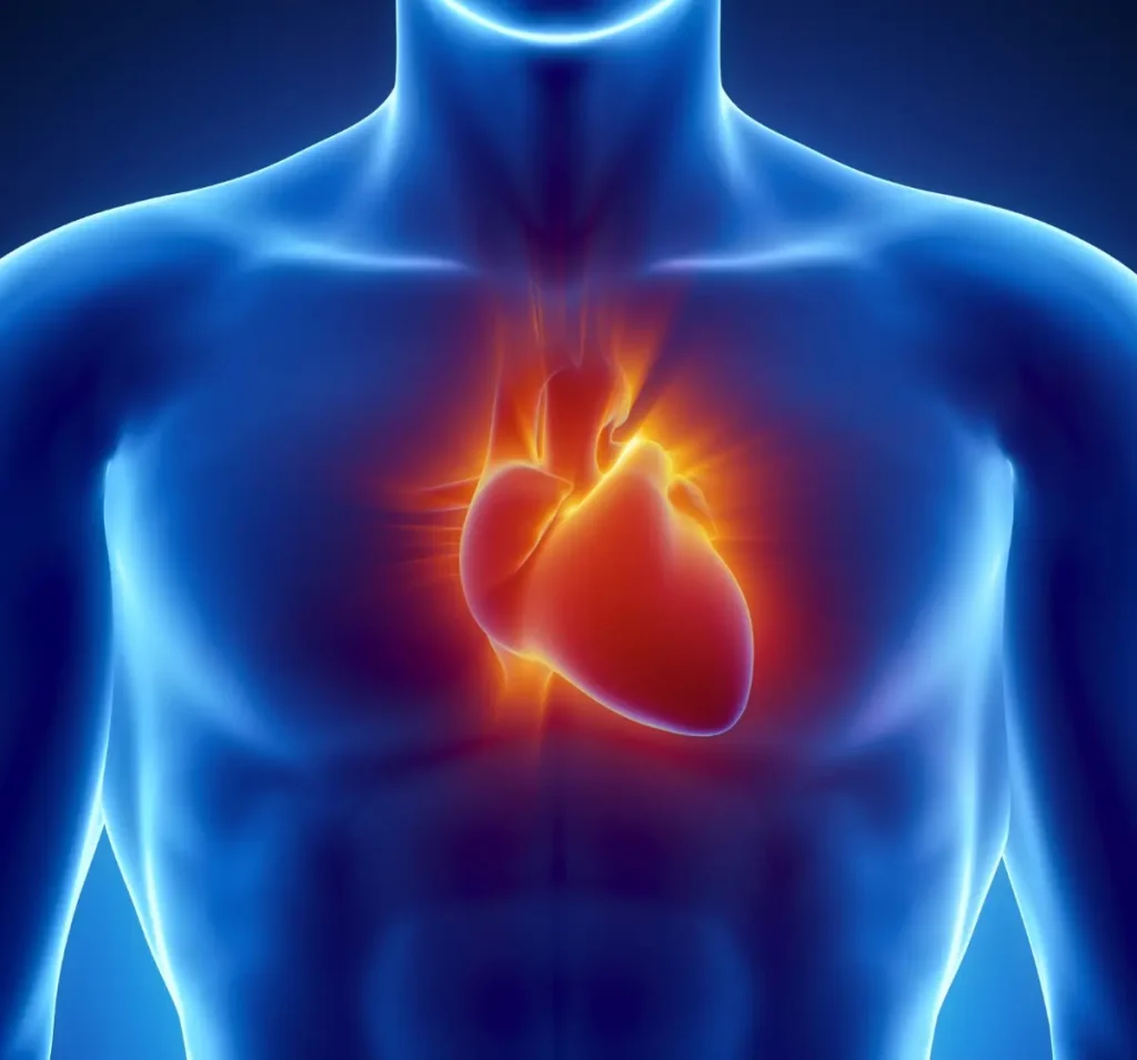 The Risks Of Consuming High Fructose Corn Syrup