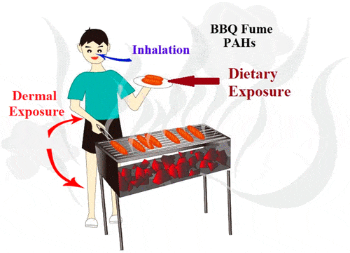 The Hidden Carcinogens In Barbecued Foods