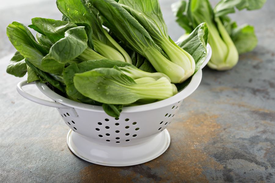 Bok Choy