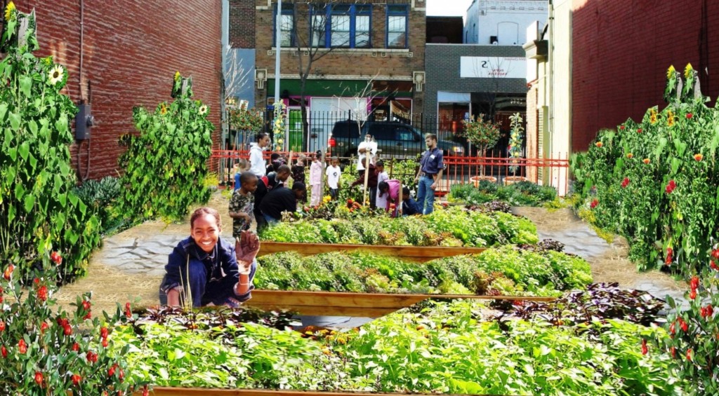 A Beginner's Guide To Urban Gardening For Health