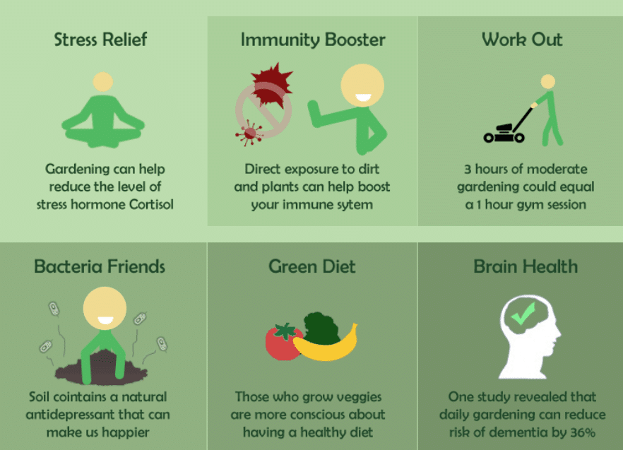 A Beginner's Guide To Urban Gardening For Health