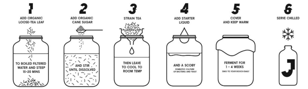 Kombucha Brewing: The Art And Science Of Fermented Tea