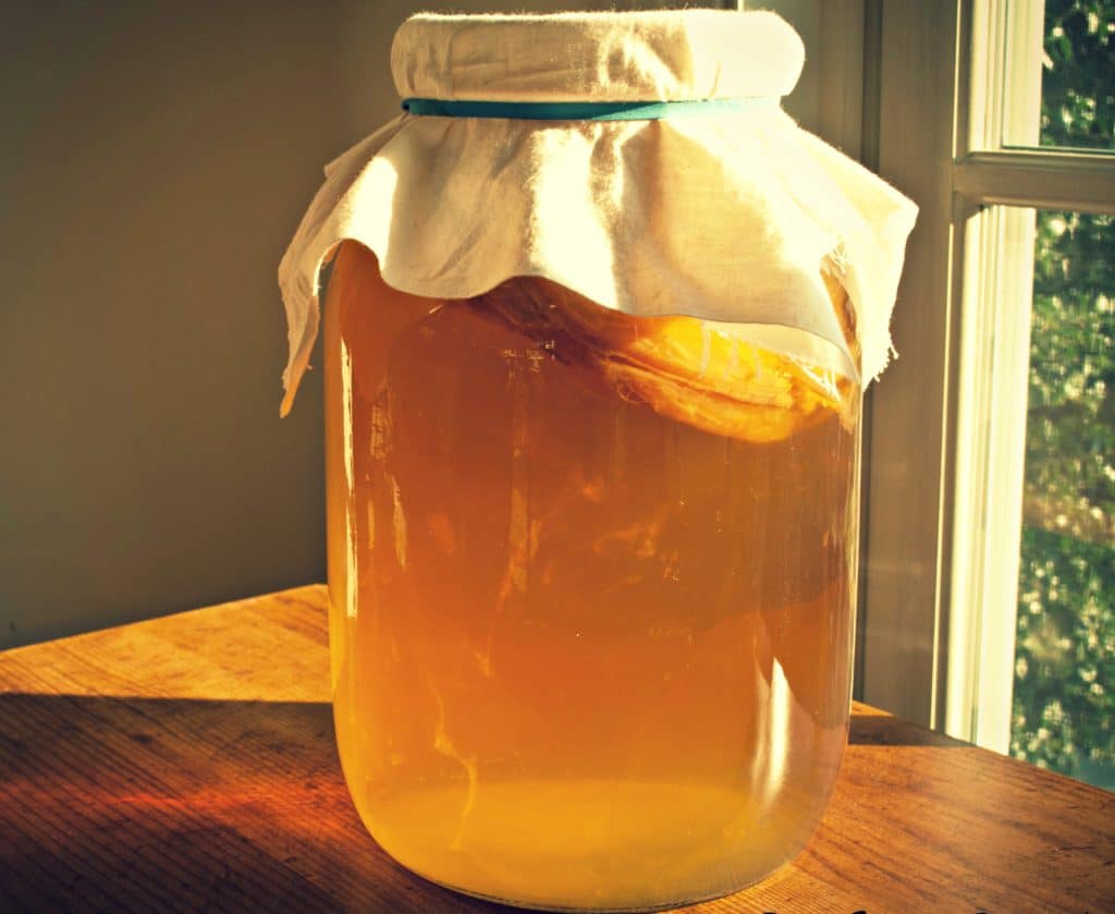 Kombucha Brewing: The Art And Science Of Fermented Tea