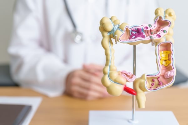 The Truth About Fast Food