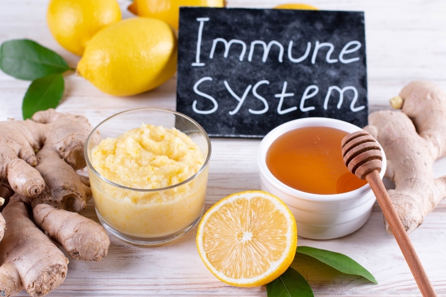 Best Foods for Boosting Your Immune System